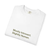Introvert Humor T-Shirt