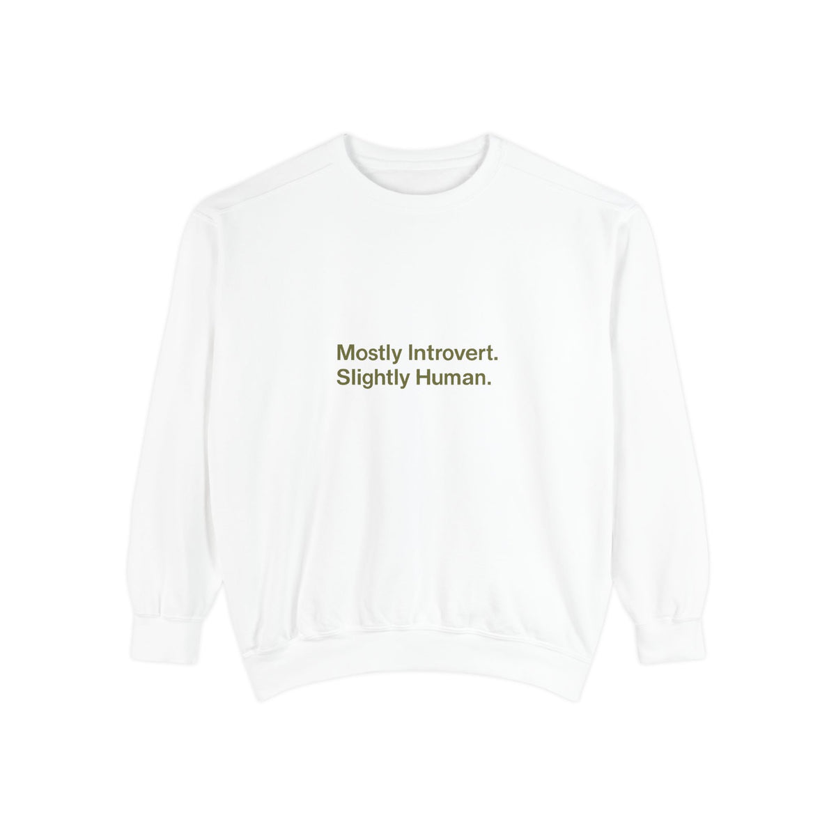 Mostly Introvert Sweatshirt