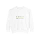 Mostly Introvert Sweatshirt