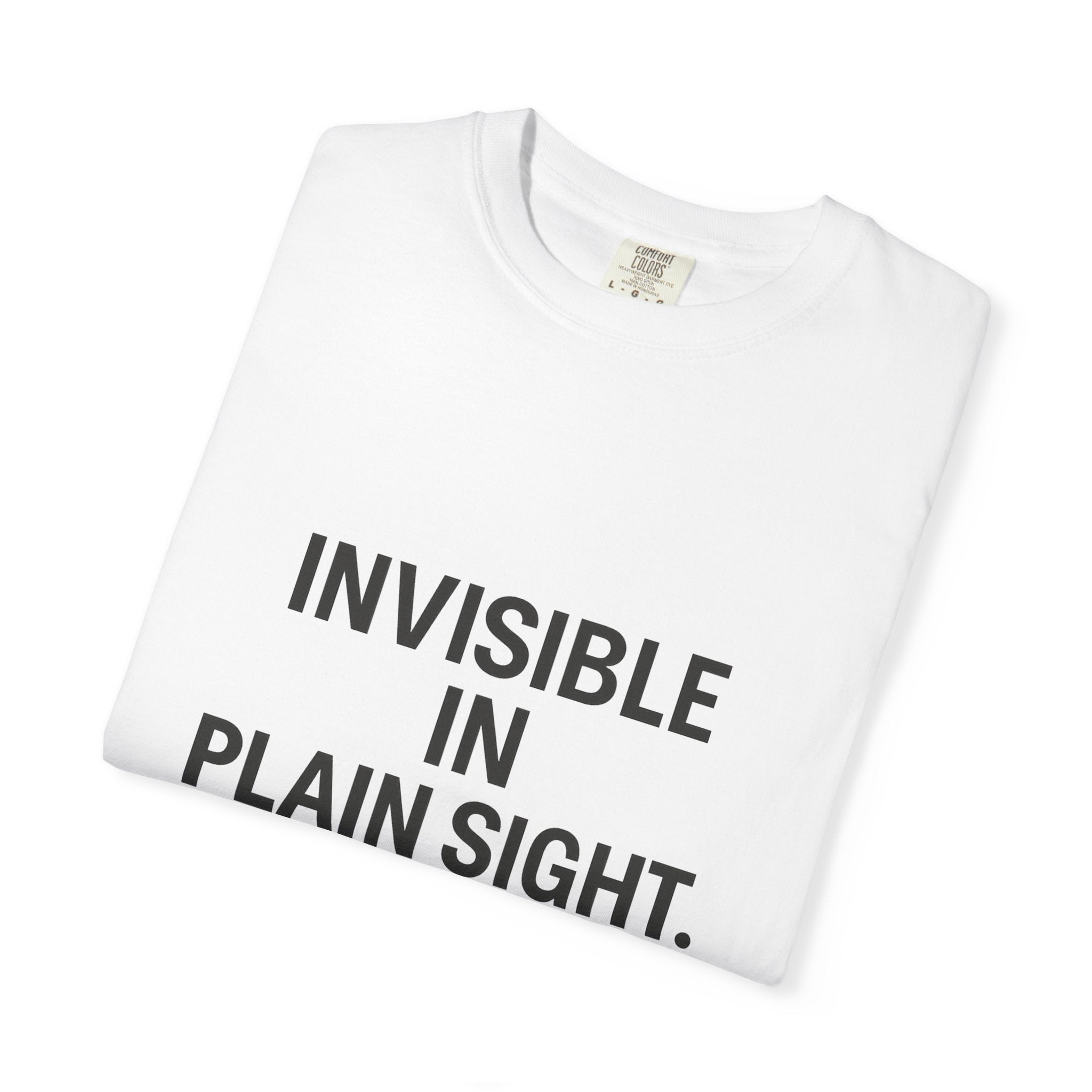Invisible in Plain Sight Unisex T-Shirt