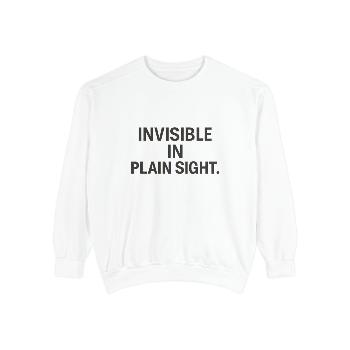 Invisible in Plain Sight Sweatshirt